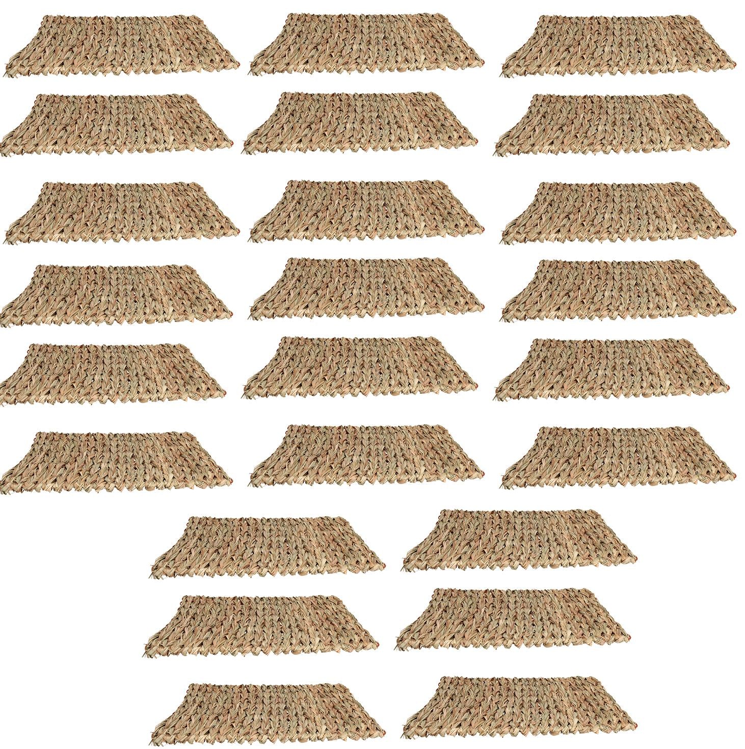 Tapis anti-ennui XL pour petits animaux, pour lapin, cochon d'Inde, 30 x 35 cm