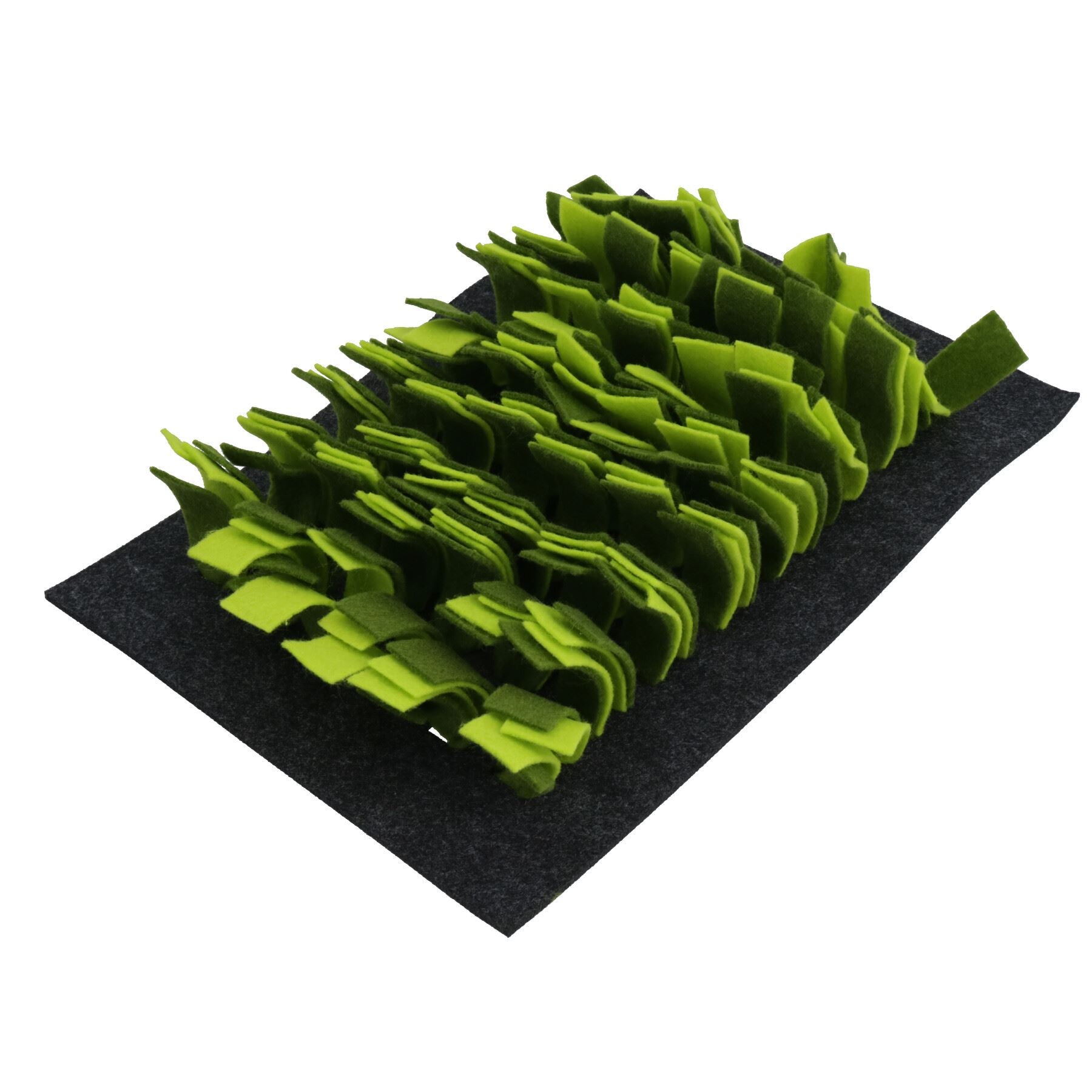 Tapis de jeu interactif anti-ennui pour petits animaux, lapin, Guinée