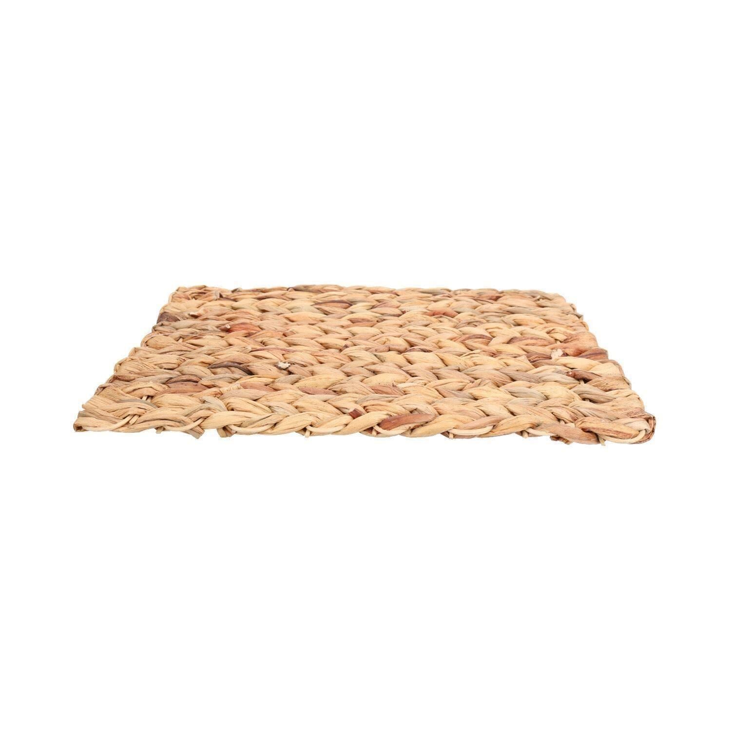 Tapis anti-ennui pour petits animaux, pour lapin, cochon d'Inde, 23 x 33 cm