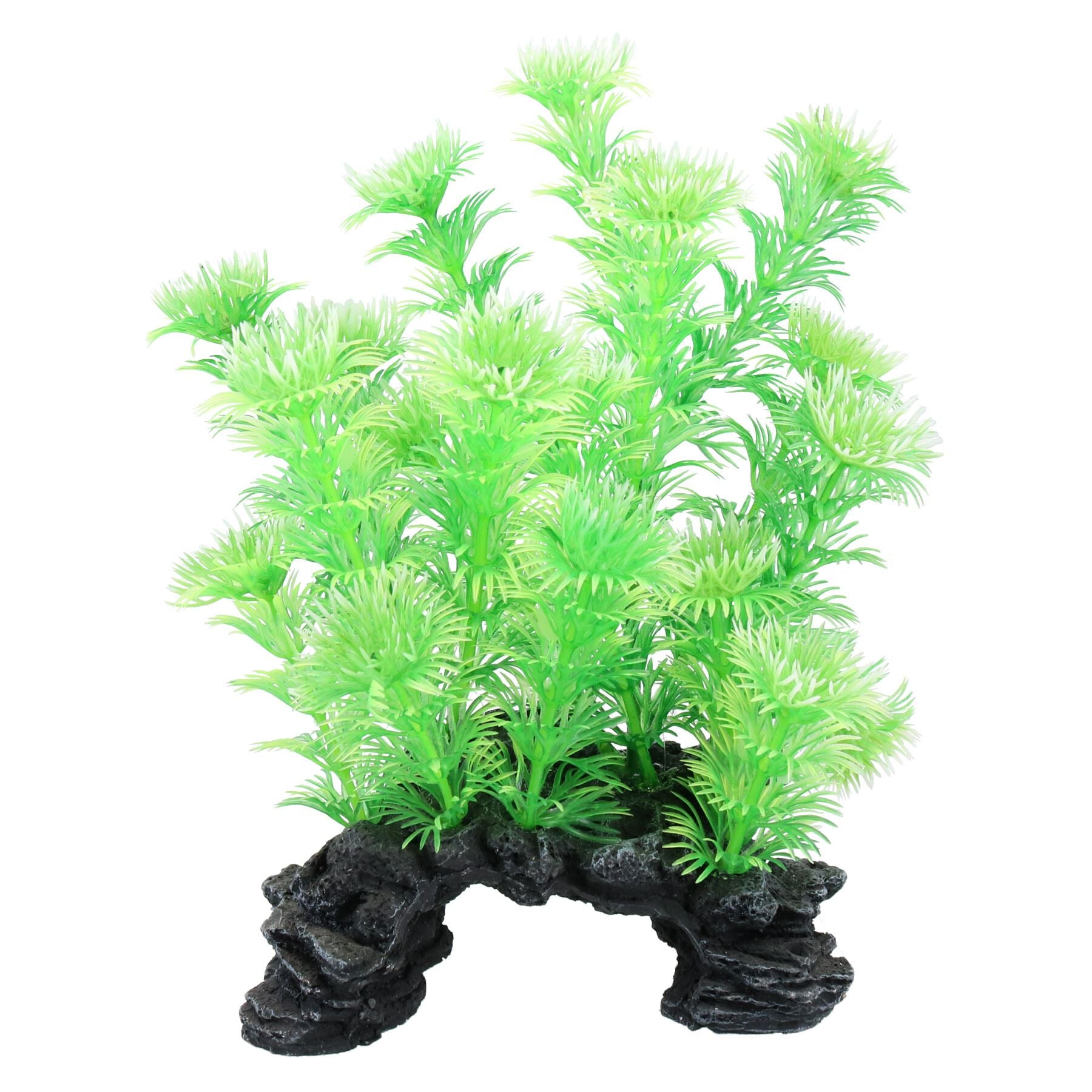 3PK Aquatic Aquarium Fish Tank Deco Plant Rock Cabomba 5x12x20cm