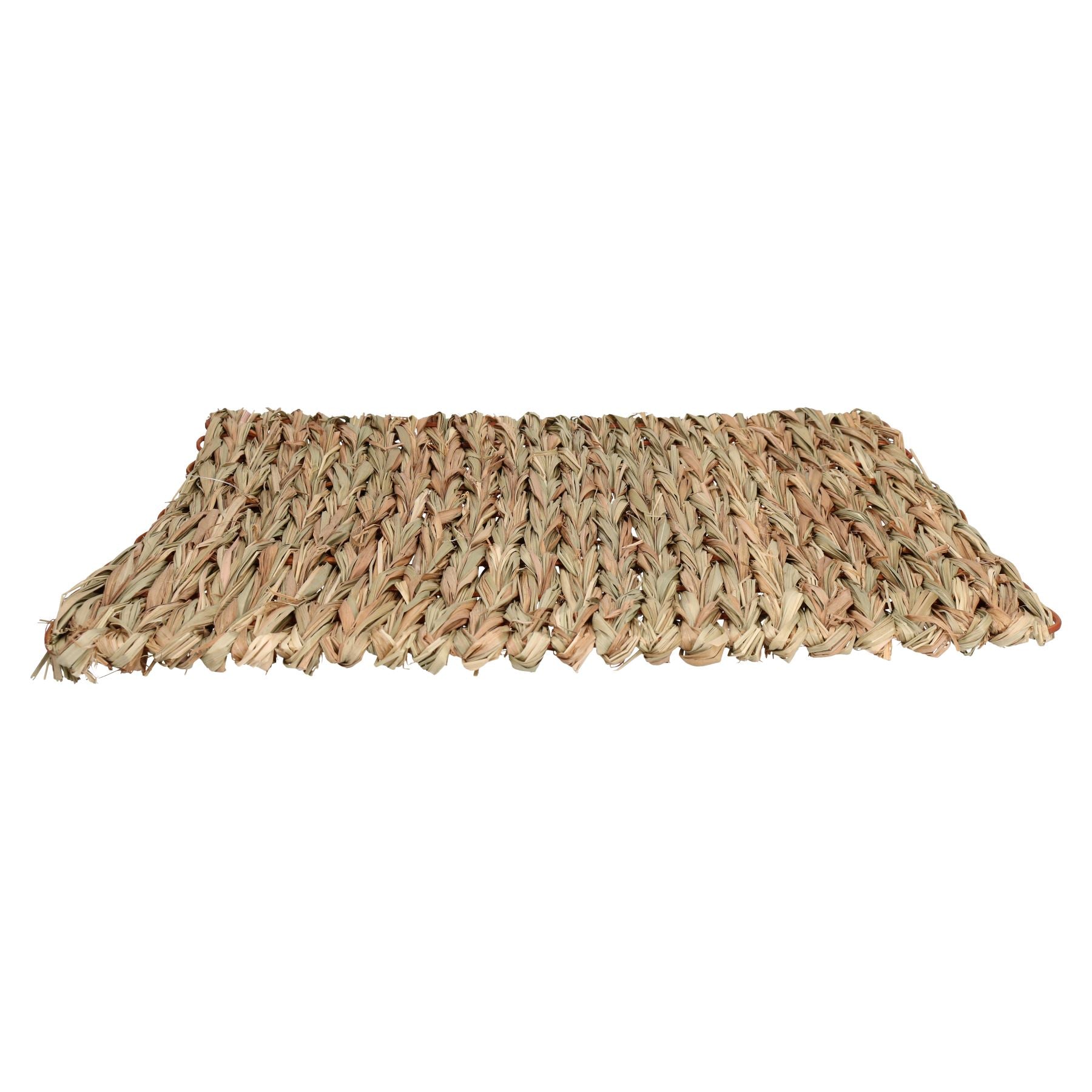 Tapis anti-ennui XL pour petits animaux, pour lapin, cochon d'Inde, 30 x 35 cm