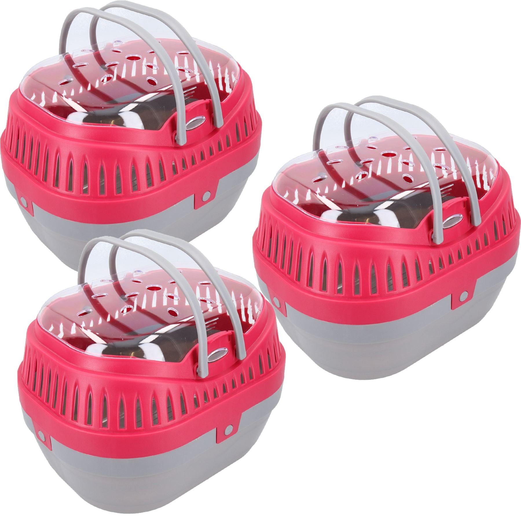 Transportbox für Kleintiere, Meerschweinchen, Ratten, Degu, 2 Größen