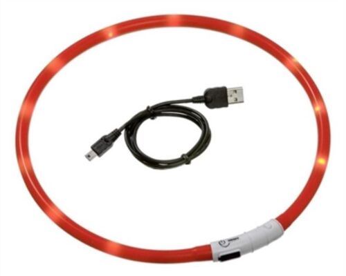 Kleines wiederaufladbares LED-Blink-Sicherheits-Hundehalsband mit 3 Lichteinstellungen für Spaziergänge bei