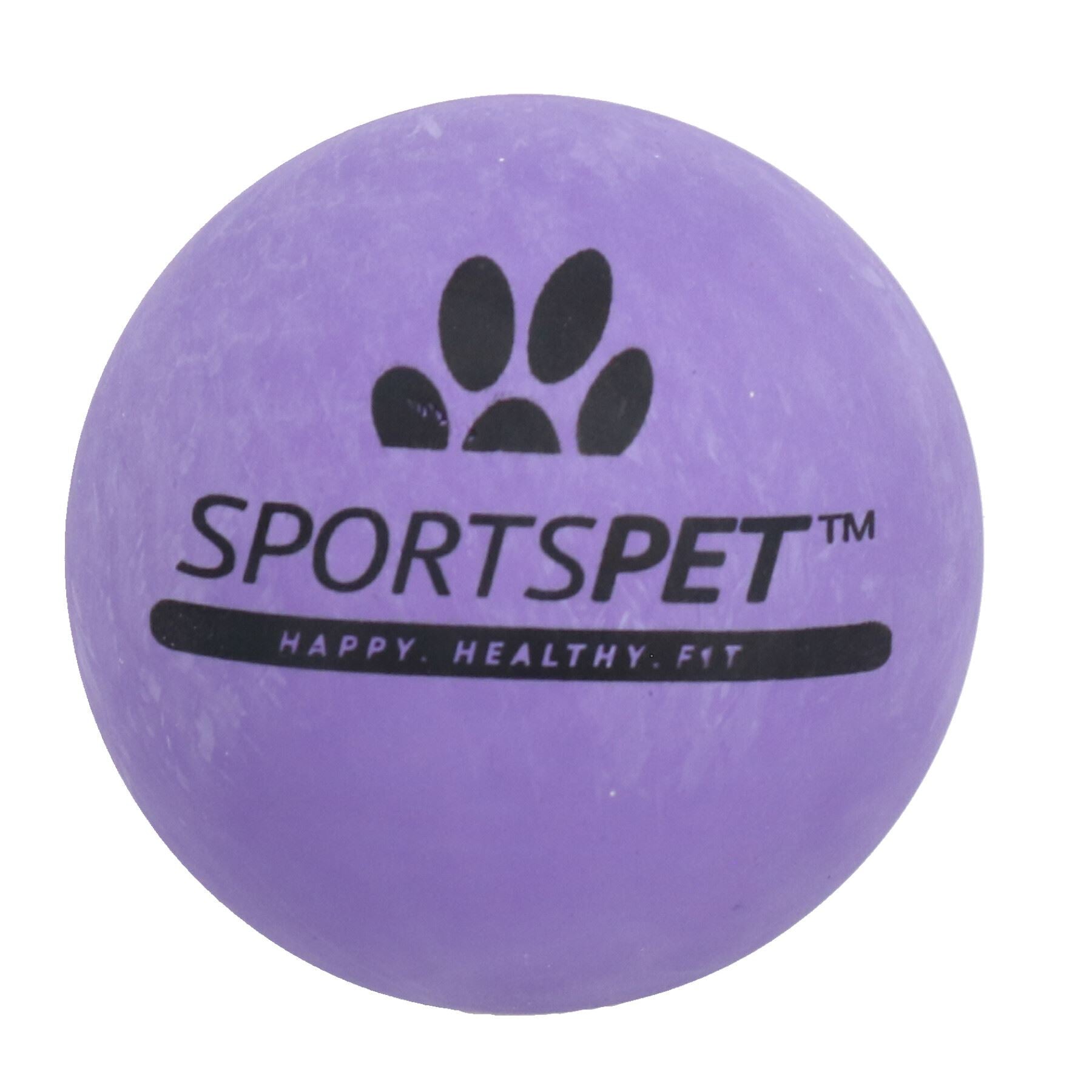3er-Pack langlebige, robuste, pralle, erstklassige, ungiftige Gummibälle für Hunde, Haustier-Spielgeschenk