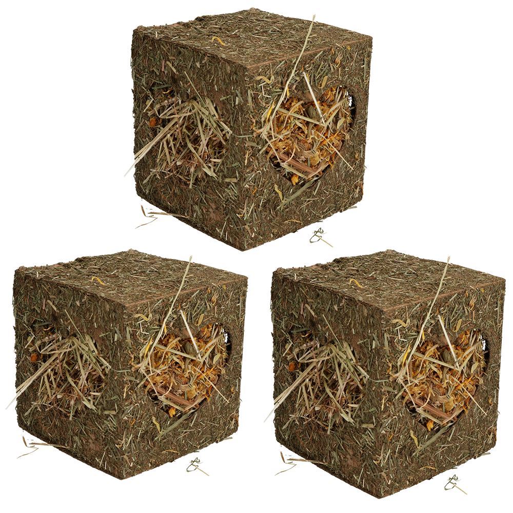 Petits animaux Cochons d'Inde Lapins Boredom Breaker Medium Hay Cube 12,5 cm