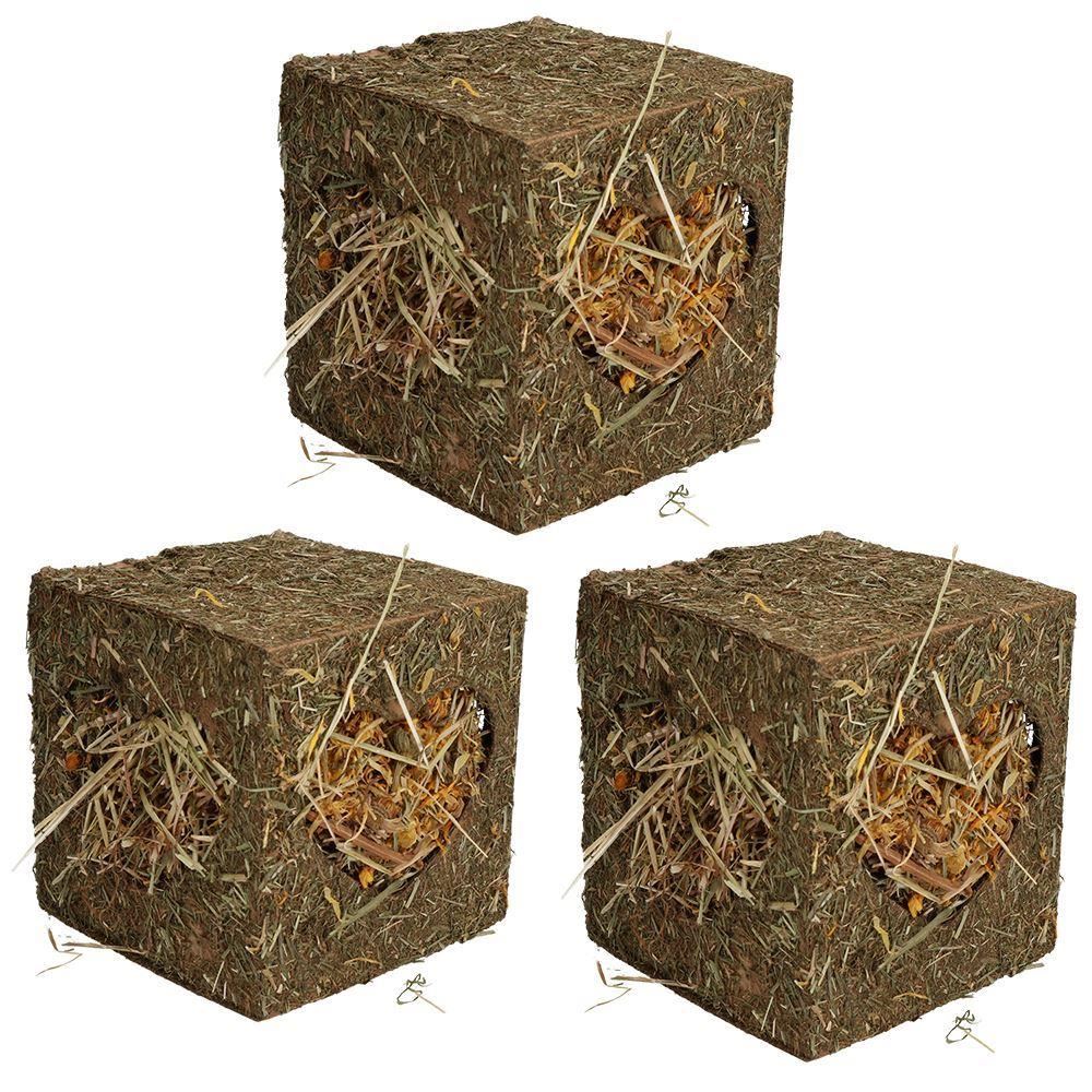 Petits animaux Cochons d'Inde Lapins Boredom Breaker Medium Hay Cube 12,5 cm