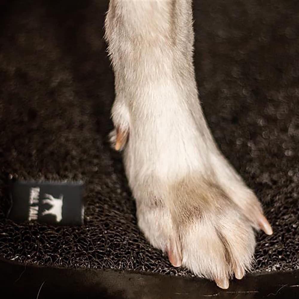 Dog Pet Wet Paws Stress Free Shower Bath Non-ski Backing Non Slip Mat