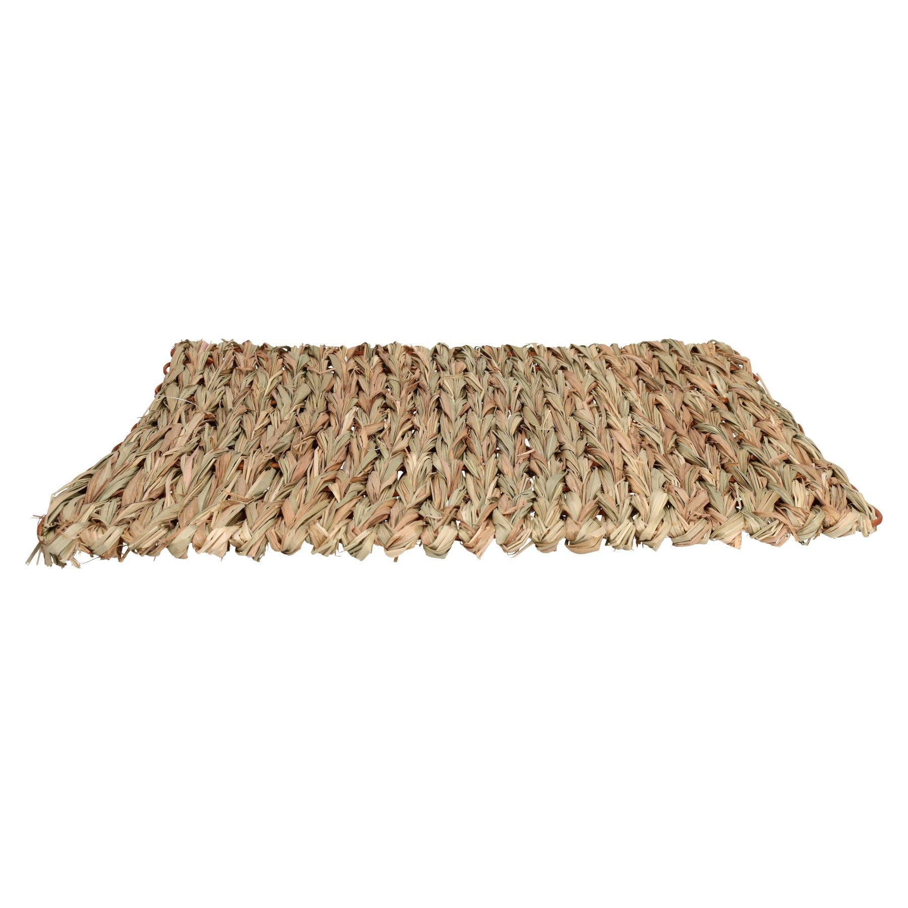 Tapis anti-ennui XL pour petits animaux, pour lapin, cochon d'Inde, 30 x 35 cm