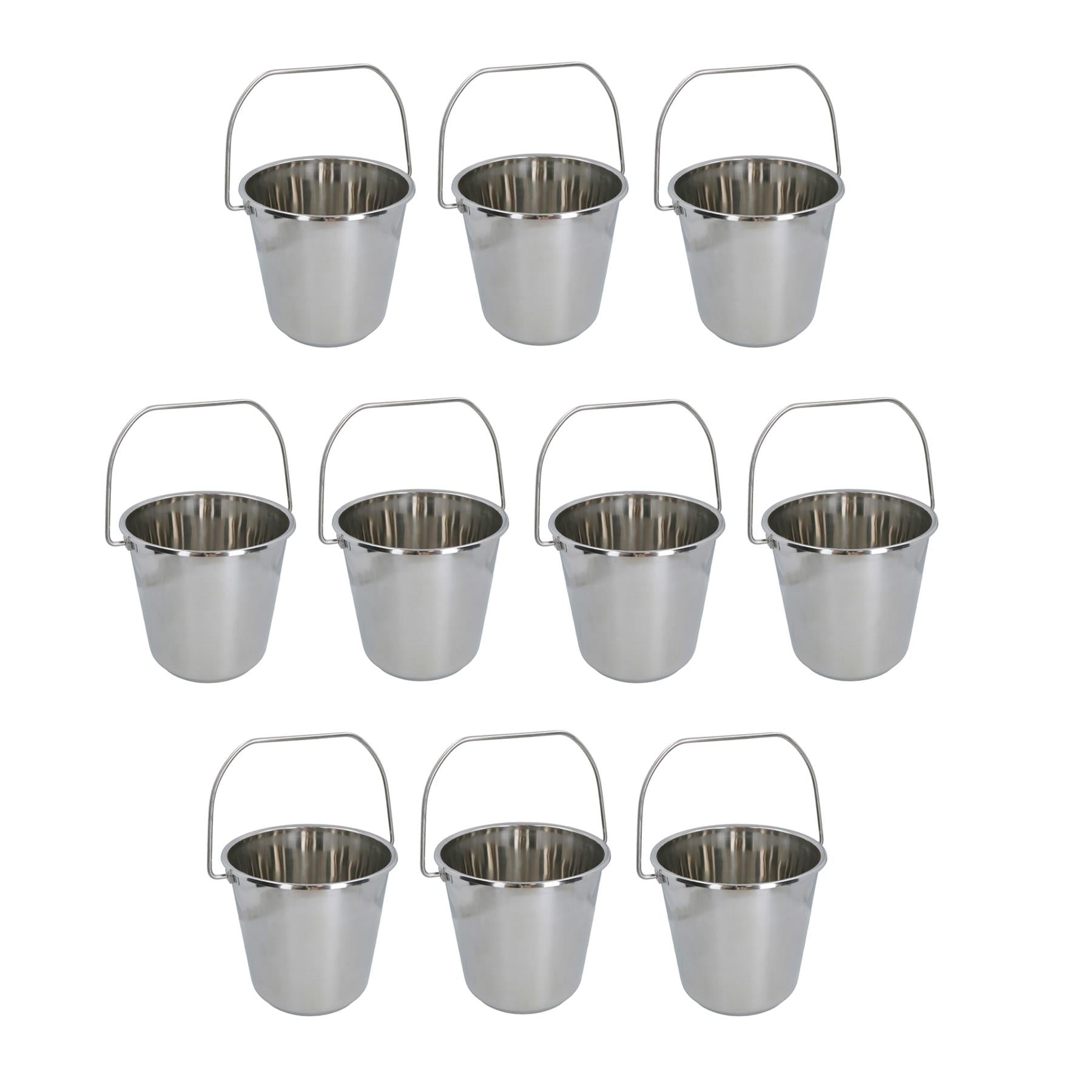 12L Stainless Steel Metal Bucket Pail Water Carrier Greenhouse Garden Plant BBQ