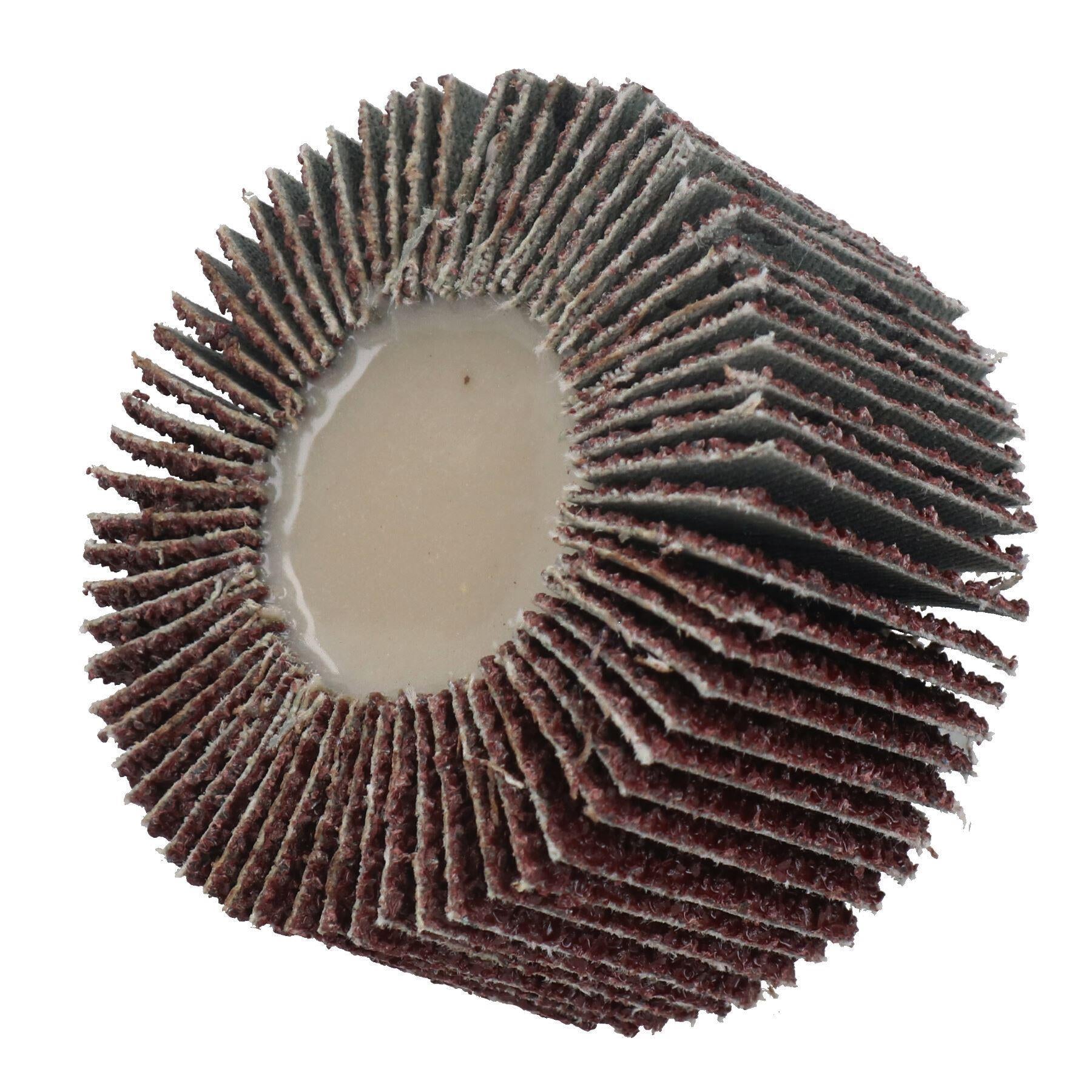60mm Fächerschleifscheibe Schleifteller für Bohrmaschinen 6mm Schaft