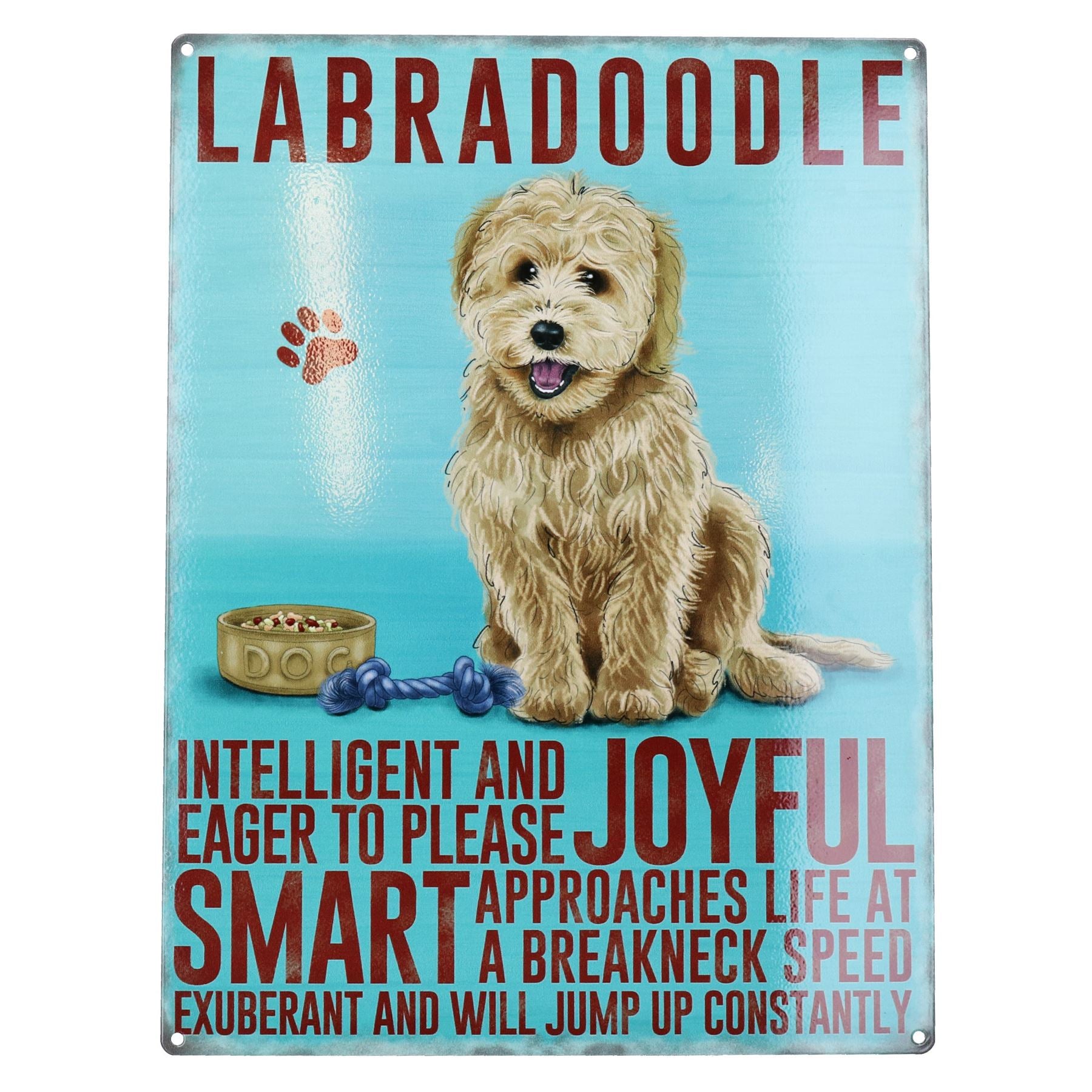 Plaque en métal représentant un chien Labradoodle