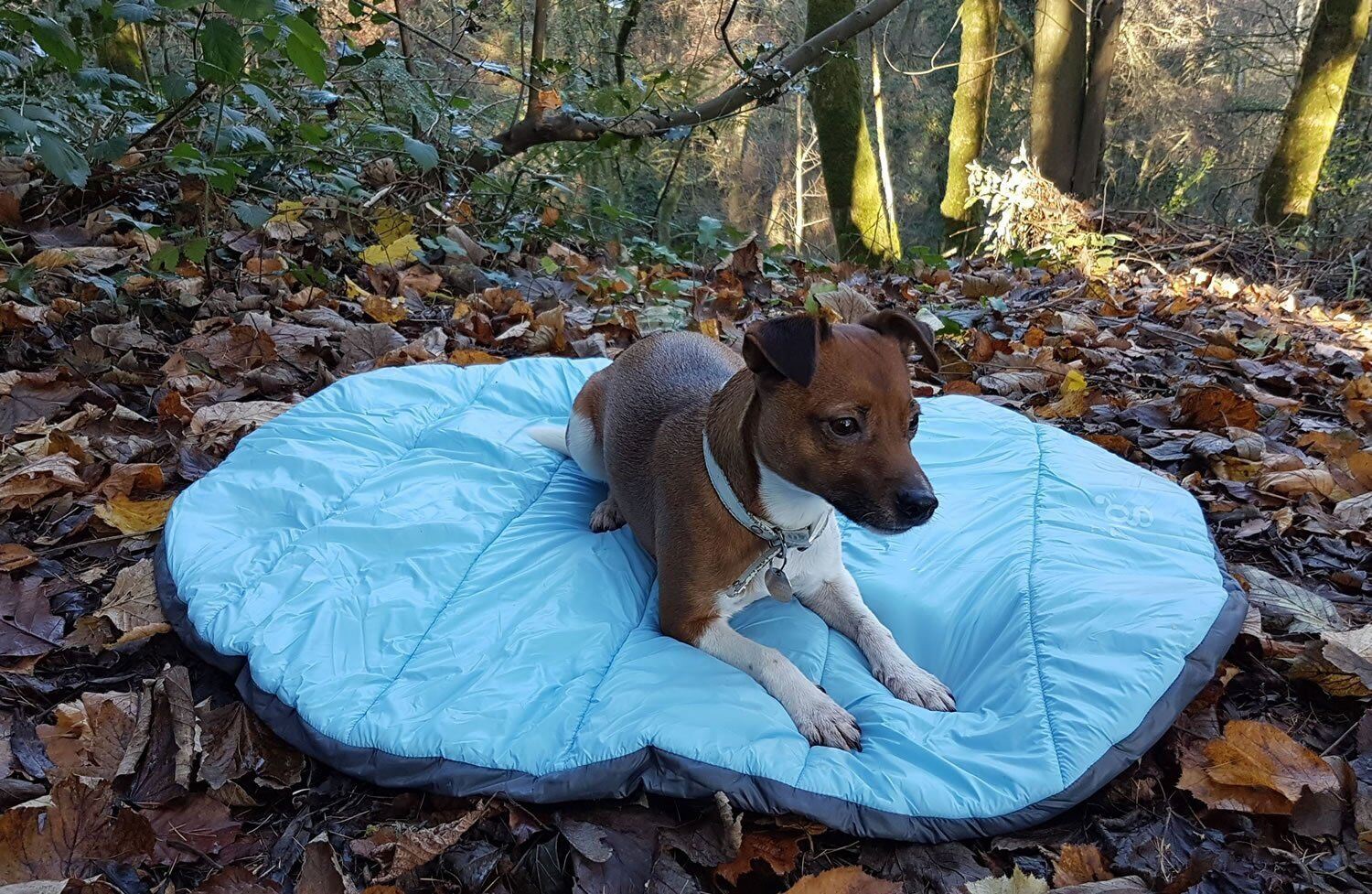 Alpines Reise-Kuschelbett für Hunde, weich, bequem, wasserdichte Basis, 86 x 70 cm