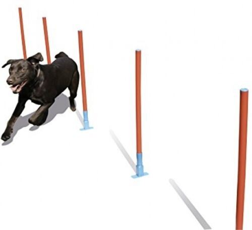 Slalom d'agilité pour chien facile à assembler avec 5 poteaux de tissage, exercice amusant.