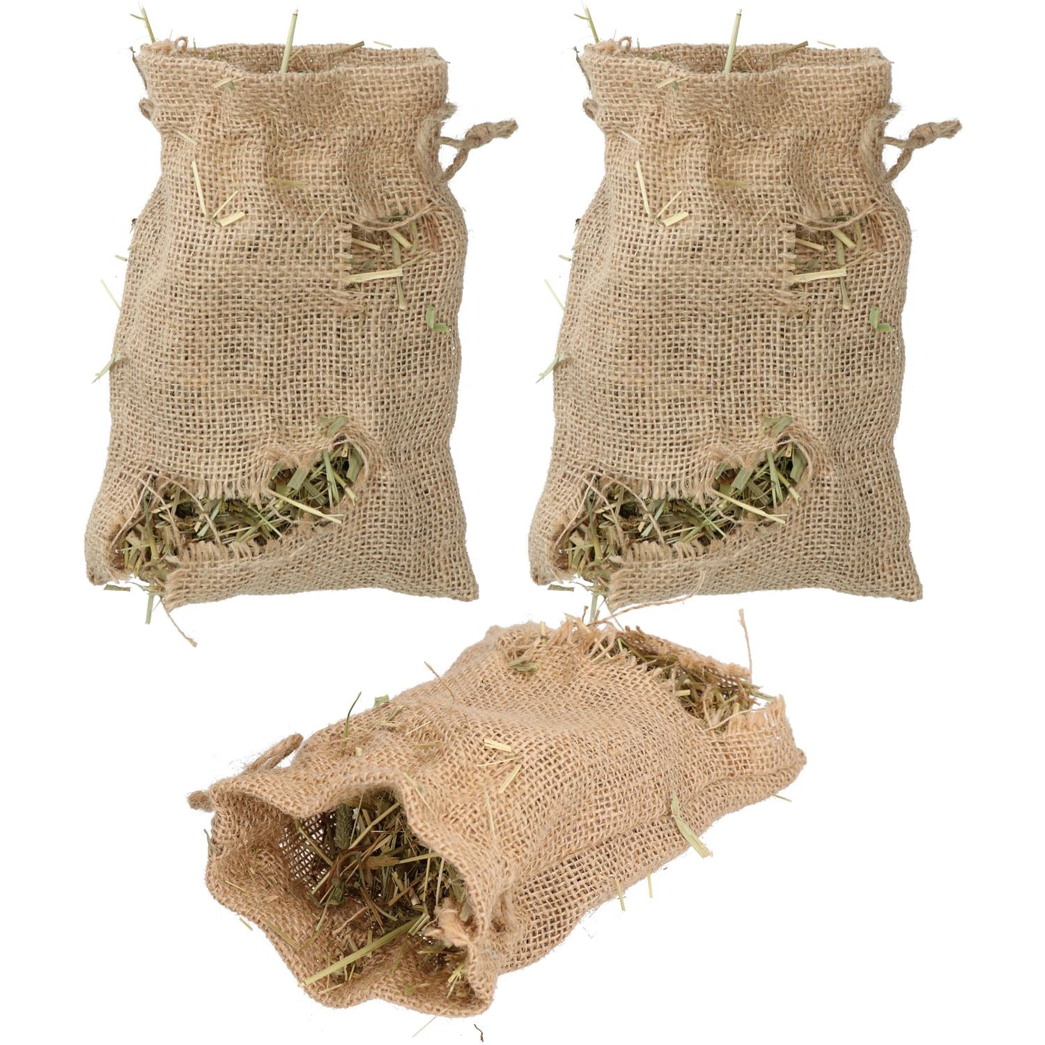 Leckerli für Kleintiere, für Kaninchen, Meerschweinchen, Knabberzeug, Gemüsebeet, Sackaroo