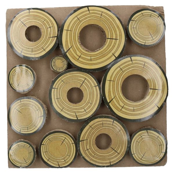Petits animaux cochons Guniea Boredom Breaker Maze A Log Treat Challenge 30x30cm