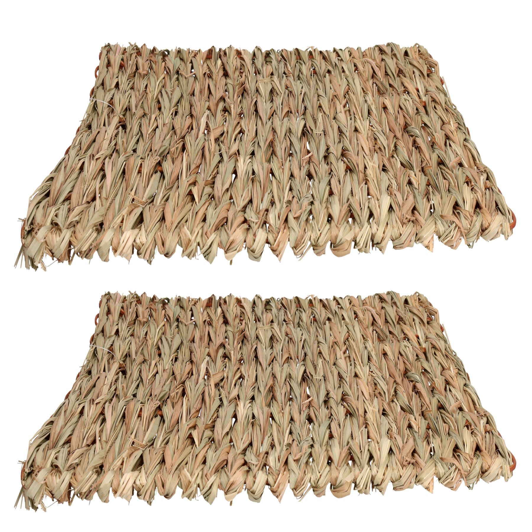 Tapis anti-ennui XL pour petits animaux, pour lapin, cochon d'Inde, 30 x 35 cm