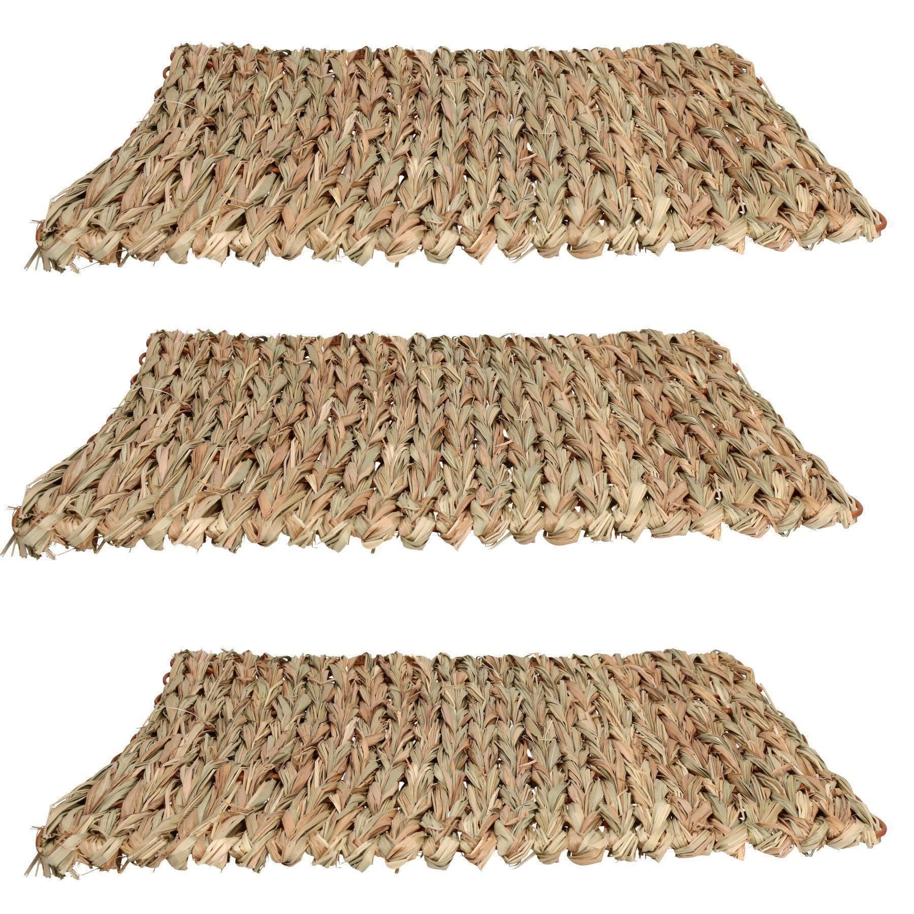 Tapis anti-ennui XL pour petits animaux, pour lapin, cochon d'Inde, 30 x 35 cm