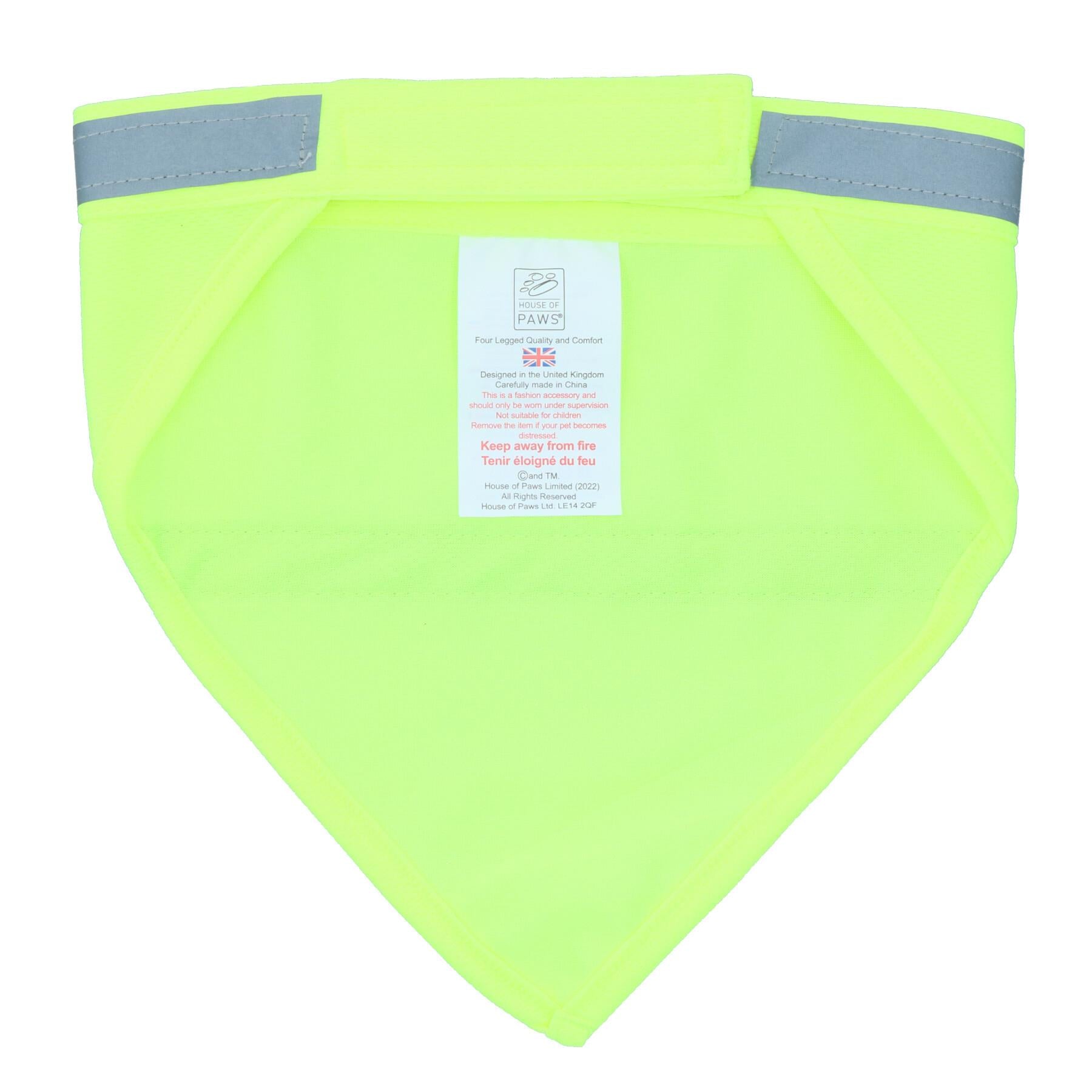 Bandana réfléchissant haute visibilité pour chien, taille unique, accessoire de sécurité pour promenade nocturne