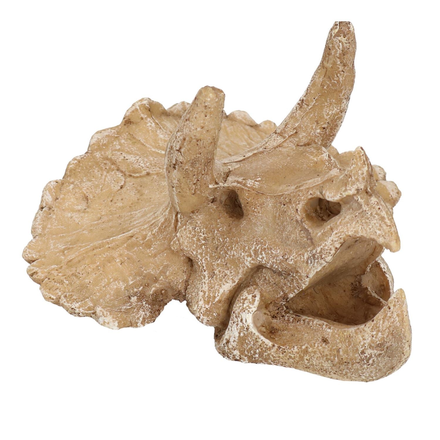 Mittleres Aquarien-Ornament für Triceratops-Schädelkopf, 9 x 12 x 15 cm