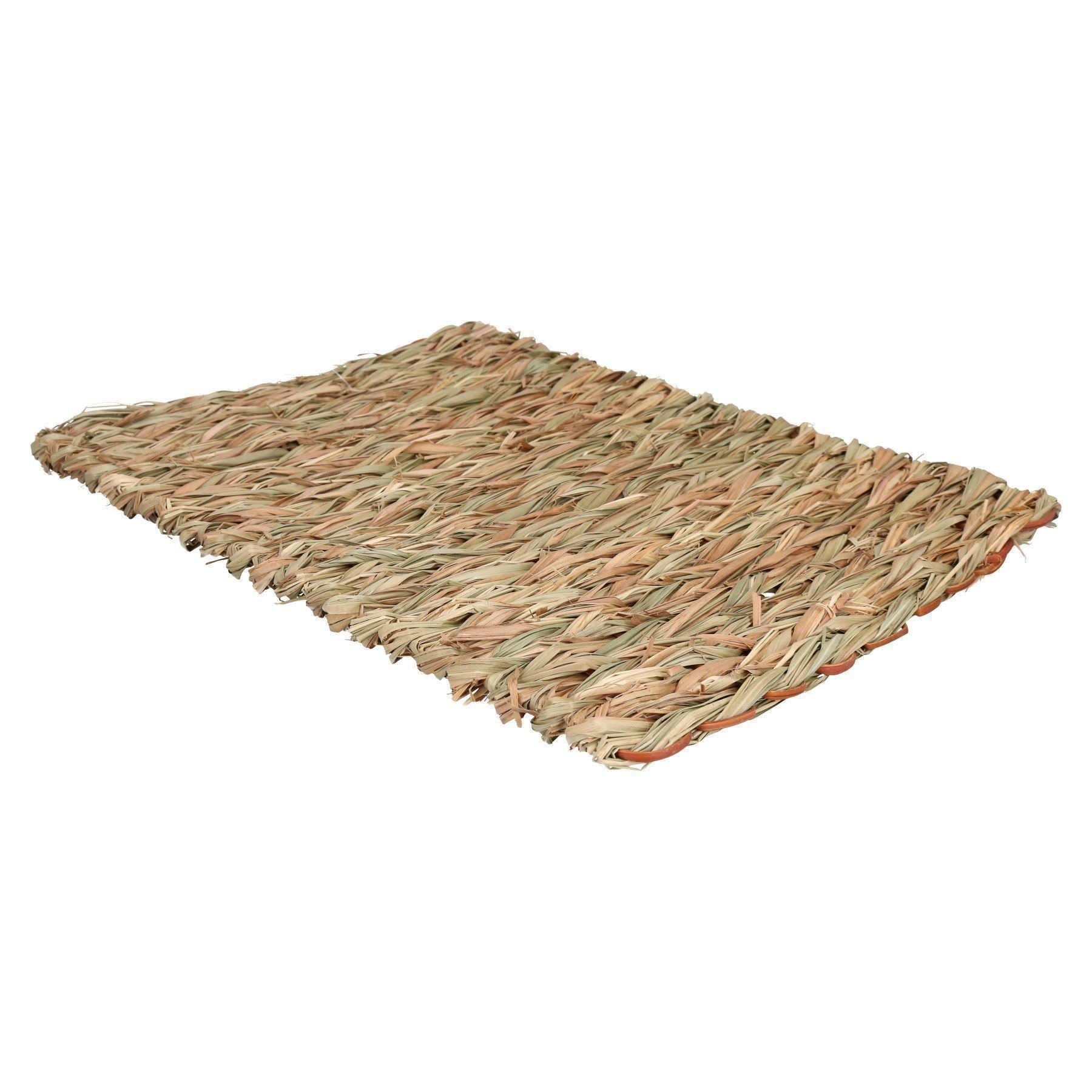 Tapis anti-ennui XL pour petits animaux, pour lapin, cochon d'Inde, 30 x 35 cm