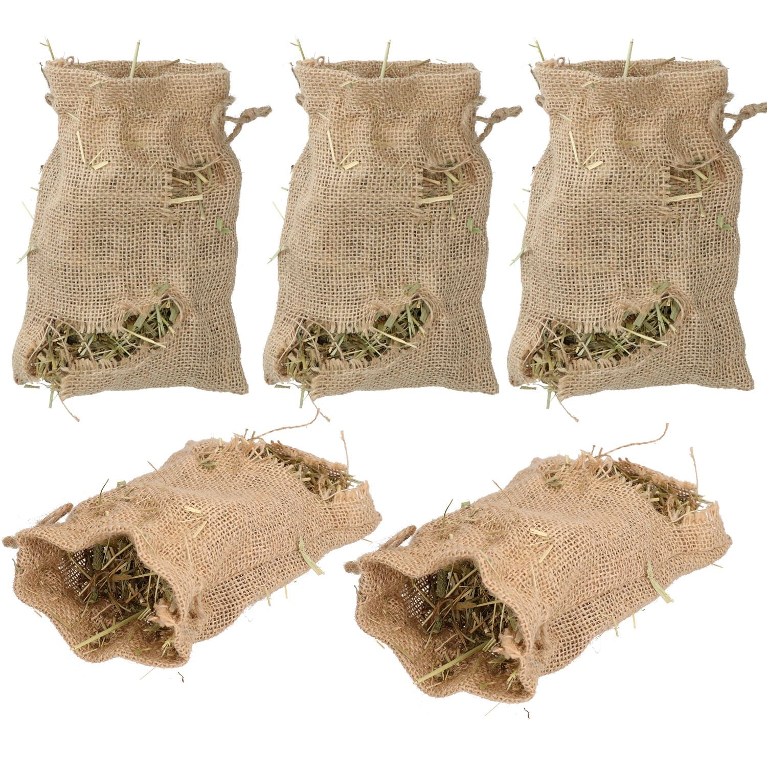 Leckerli für Kleintiere, für Kaninchen, Meerschweinchen, Knabberzeug, Gemüsebeet, Sackaroo