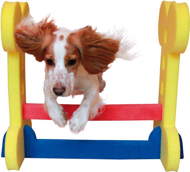 Small Dog Soft Rigid Foam Easy Assemble Agility Hurdle Fun Exercise 32x56cm