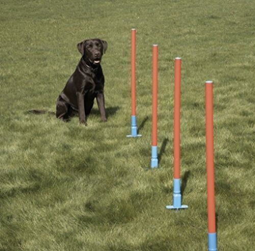 Slalom d'agilité pour chien facile à assembler avec 5 poteaux de tissage, exercice amusant.