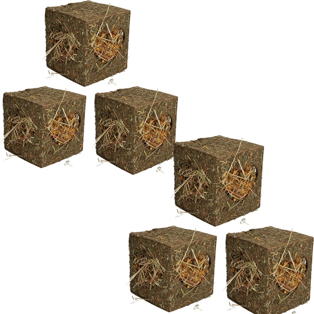 Petits animaux Cochons d'Inde Lapins Boredom Breaker Medium Hay Cube 12,5 cm