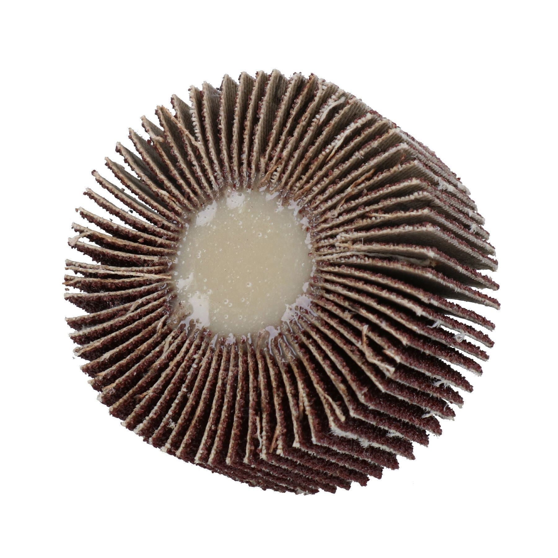 50mm Fächerschleifscheibe Schleifteller für Bohrmaschinen 6mm Schaft