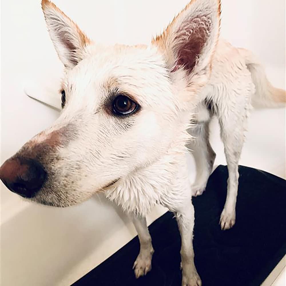 Dog Pet Wet Paws Stress Free Shower Bath Non-ski Backing Non Slip Mat