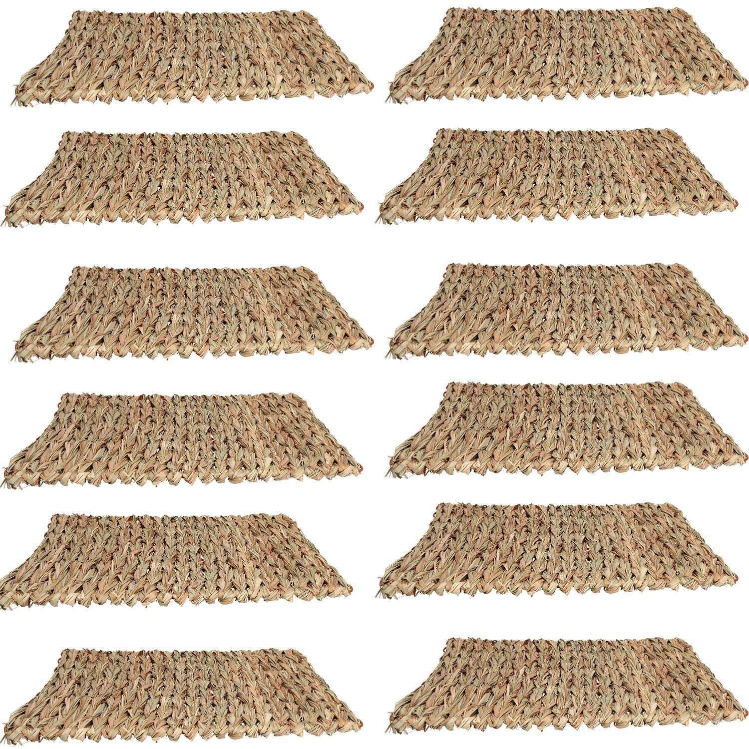 Tapis anti-ennui XL pour petits animaux, pour lapin, cochon d'Inde, 30 x 35 cm