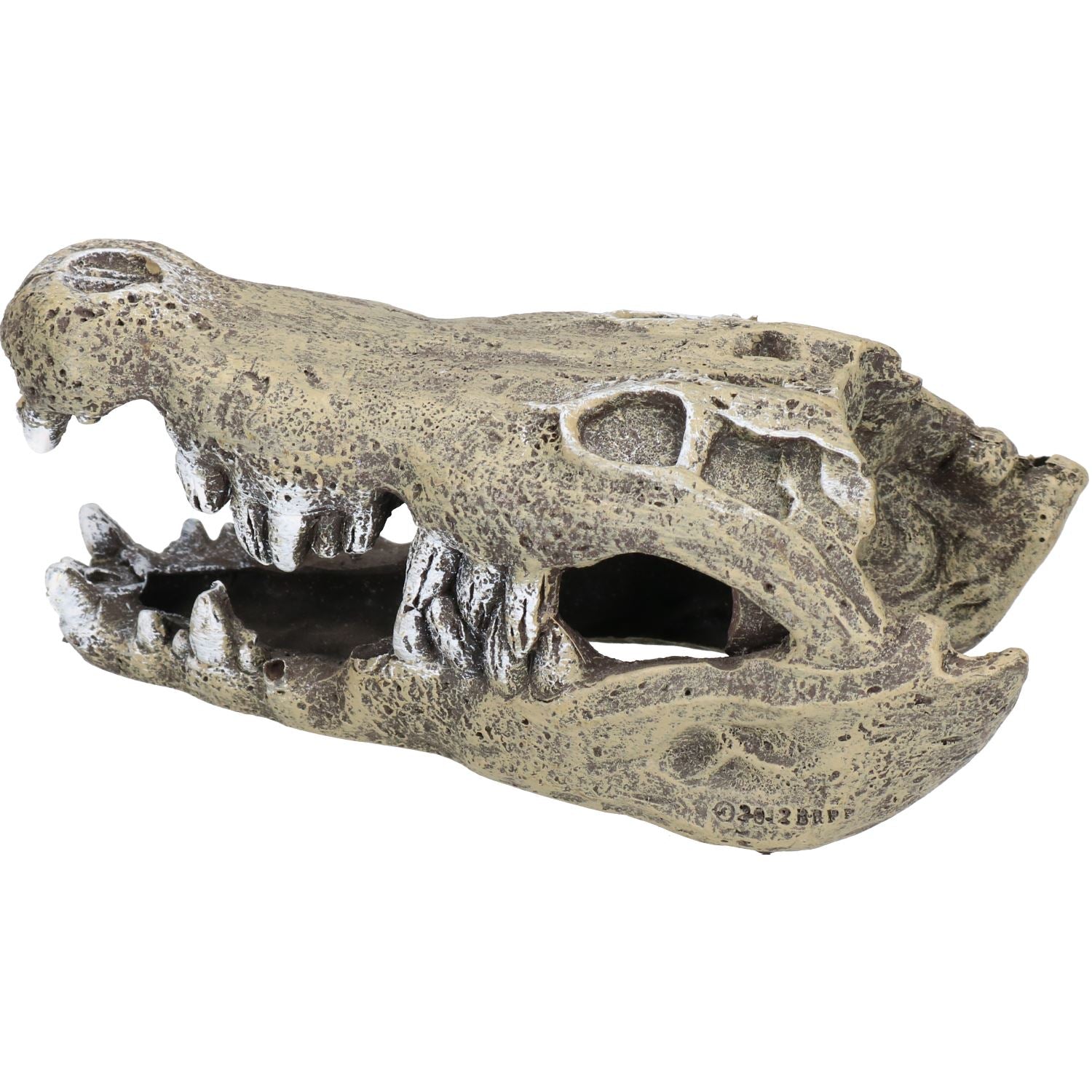Kleines Aquatisches Aquarium Nilkrokodil-Schädel-Aquarium-Ornament 6x7x15cm