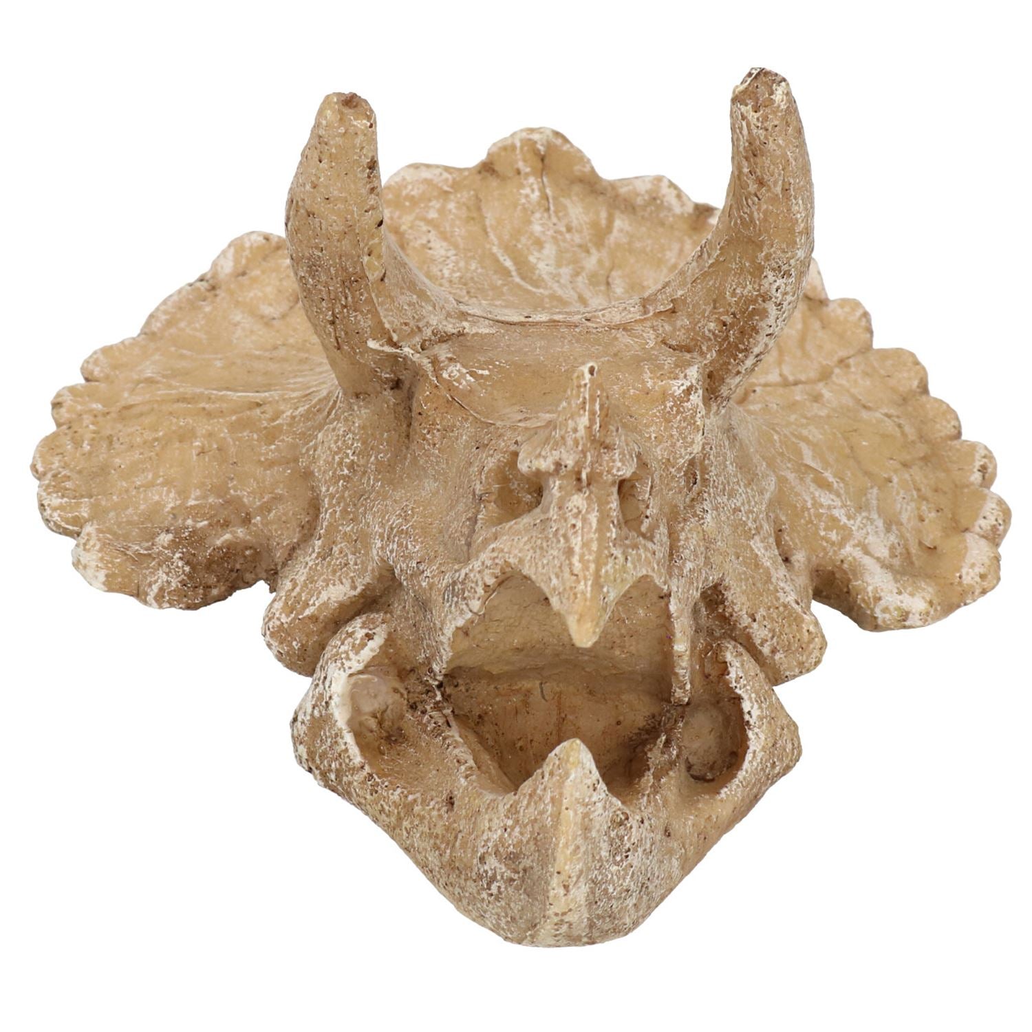 Mittleres Aquarien-Ornament für Triceratops-Schädelkopf, 9 x 12 x 15 cm