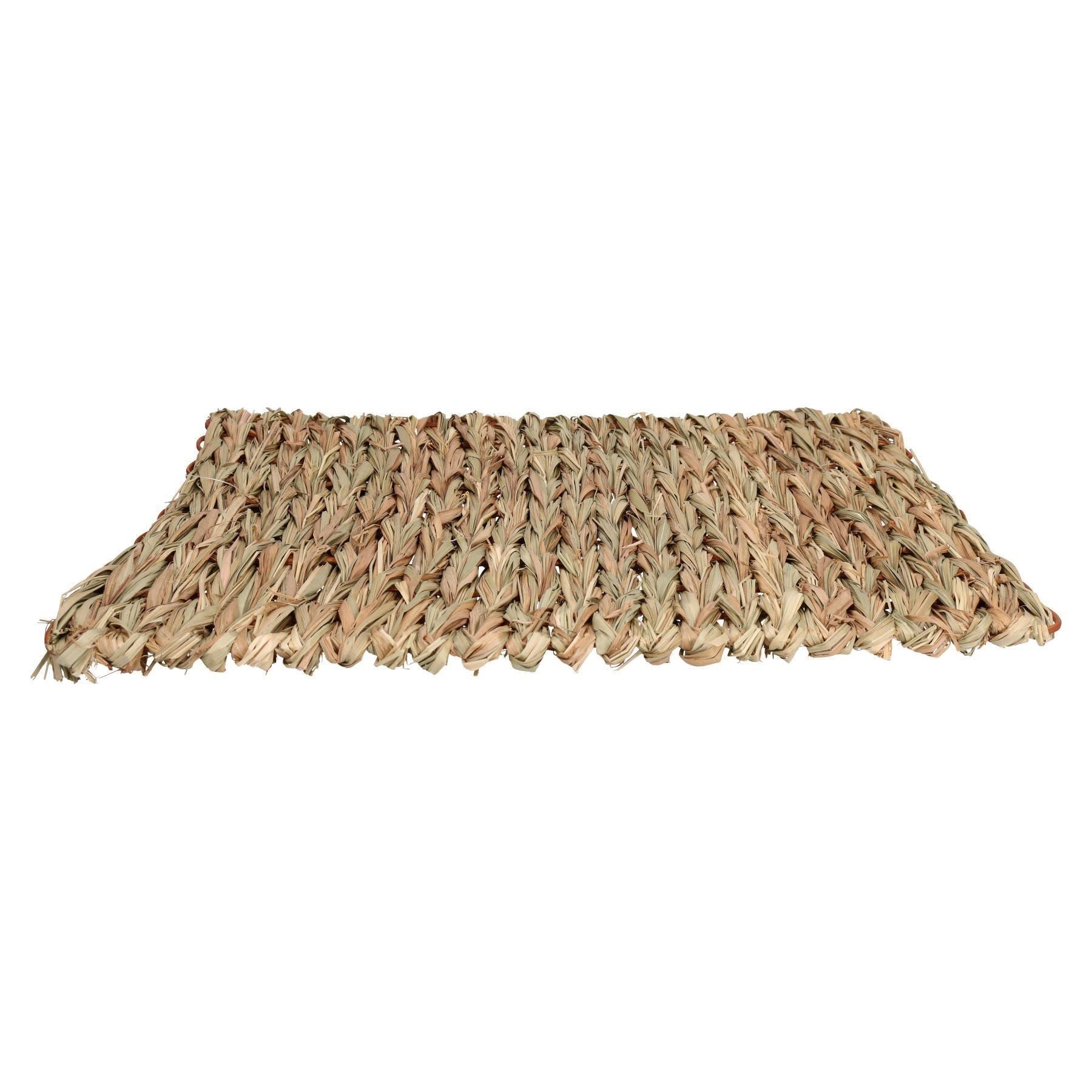 Tapis anti-ennui XL pour petits animaux, pour lapin, cochon d'Inde, 30 x 35 cm