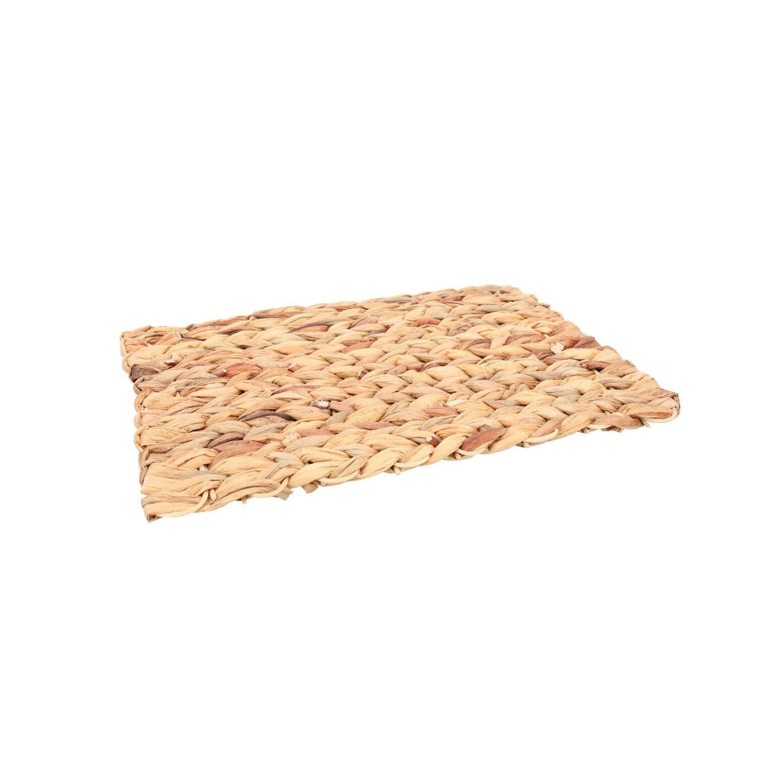 Tapis anti-ennui pour petits animaux, pour lapin, cochon d'Inde, 23 x 33 cm