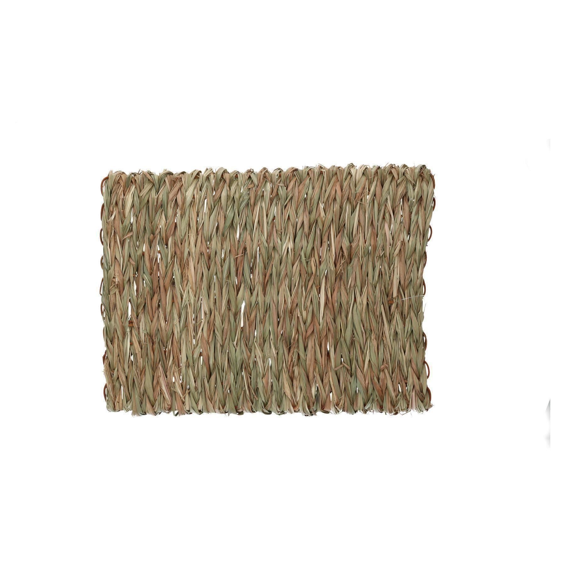 Tapis anti-ennui XL pour petits animaux, pour lapin, cochon d'Inde, 30 x 35 cm