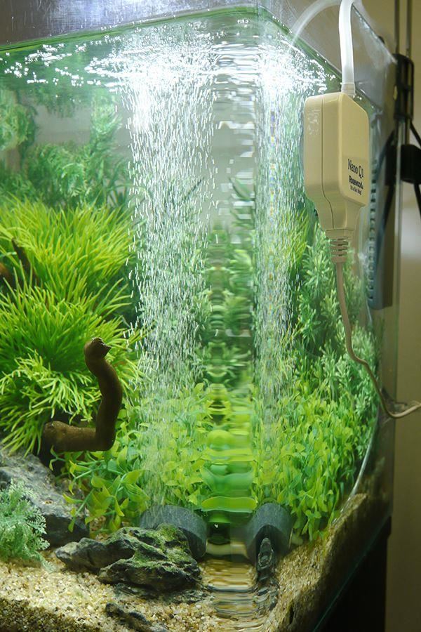 Nano Q1 Quiet Fish Aquatic Air Pump For Aquariums (Air-Powered Filters Upto 30L)