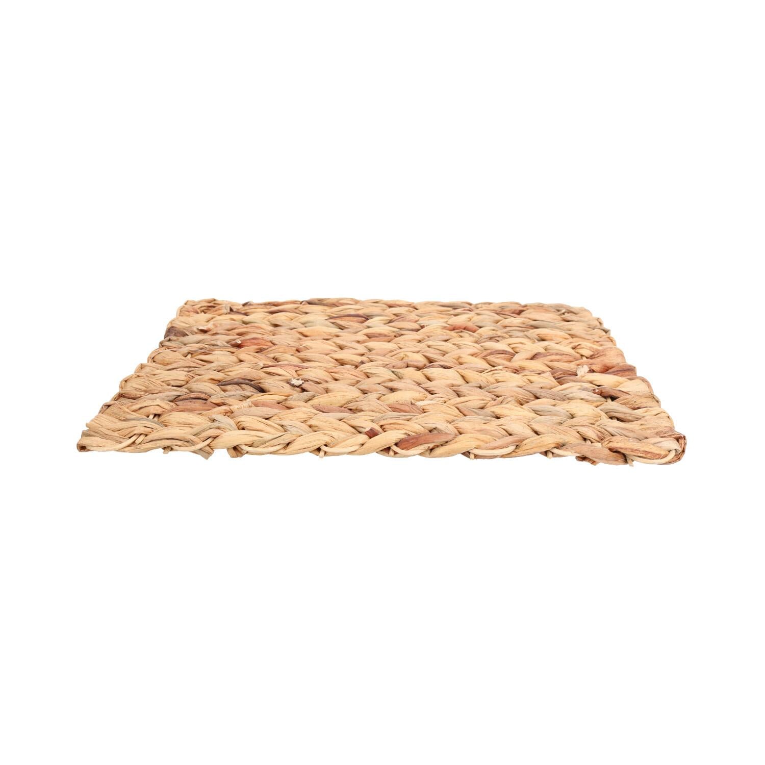 Tapis anti-ennui pour petits animaux, pour lapin, cochon d'Inde, 23 x 33 cm