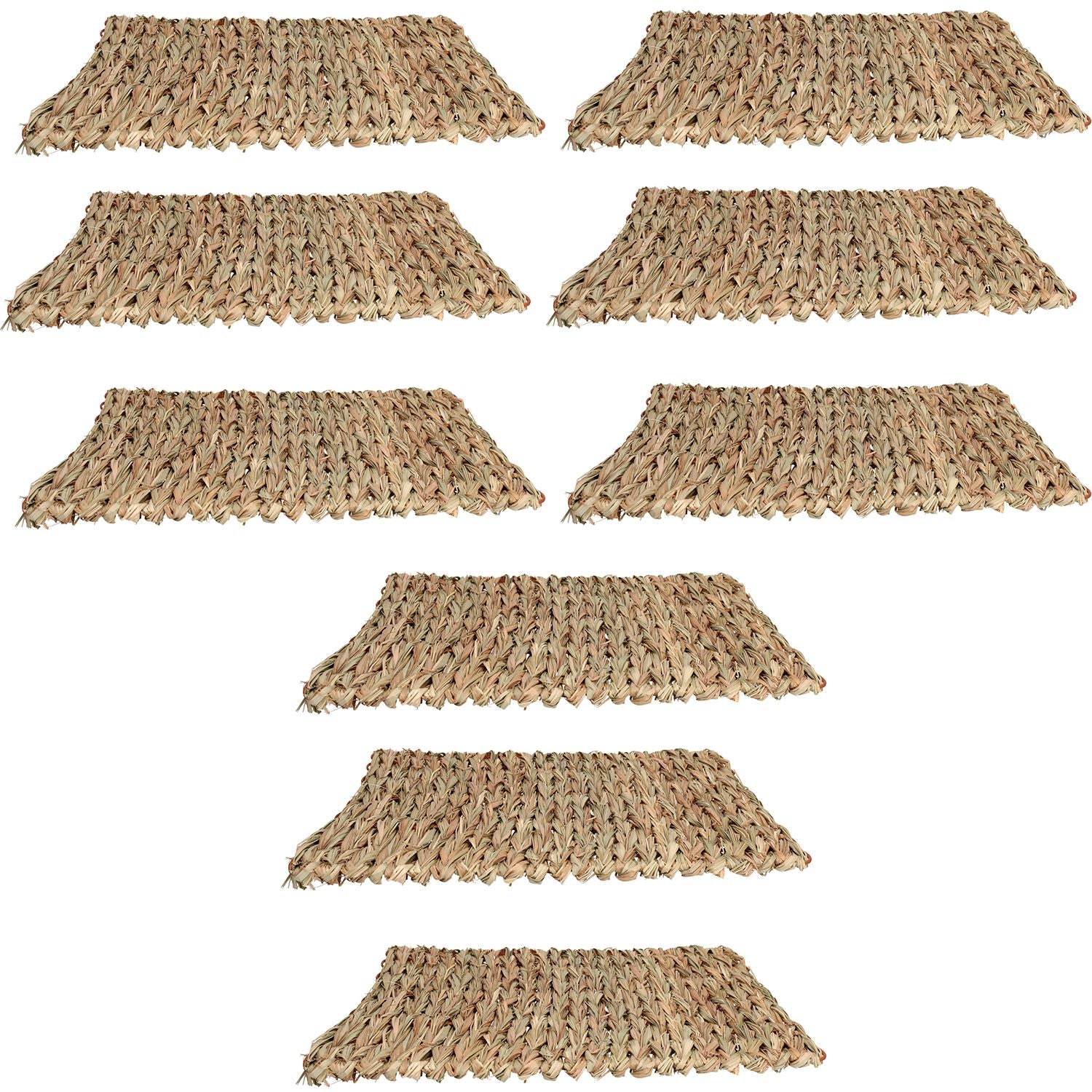 Tapis anti-ennui XL pour petits animaux, pour lapin, cochon d'Inde, 30 x 35 cm