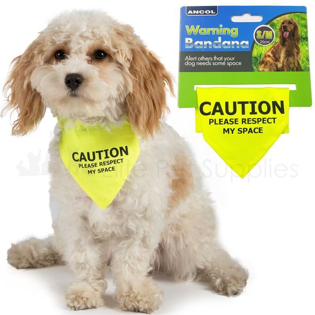 Small/ Medium Yellow Respect My Space Warning Bandana for Dogs