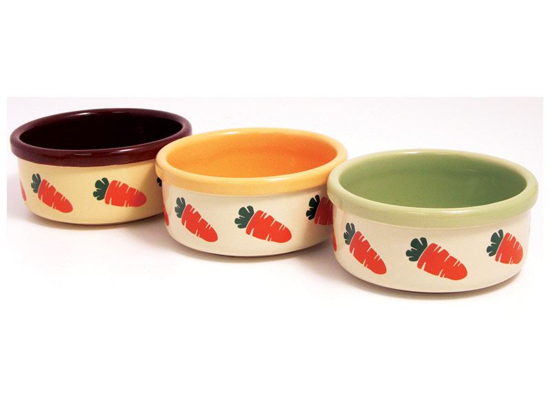 Bol à eau et nourriture en céramique pour petits animaux de compagnie Aniamls de 5"/12,5 cm - Couleurs assorties