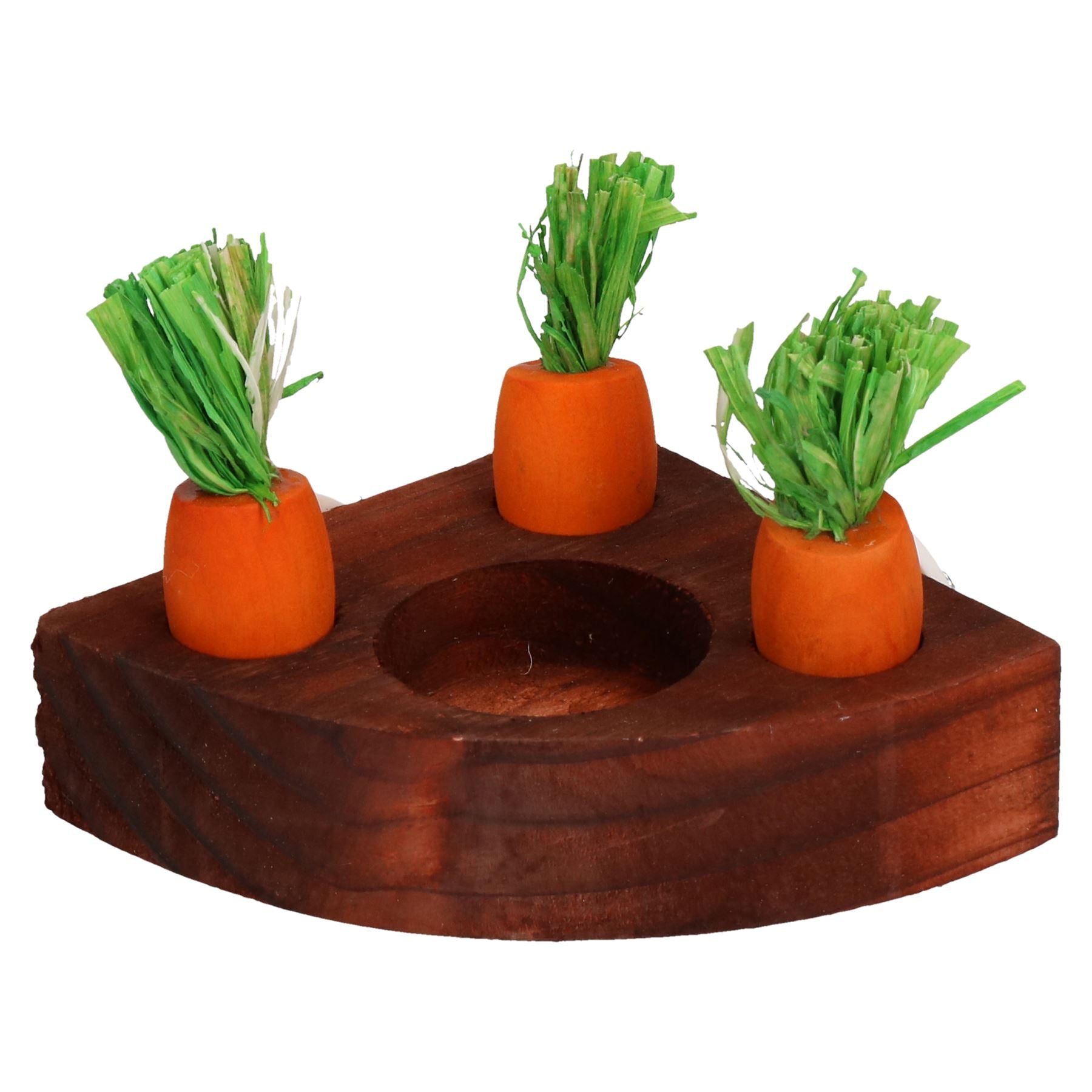 Jouet d'activité pour petits animaux pour hamsters, porte-friandises et 9 carottes en bois