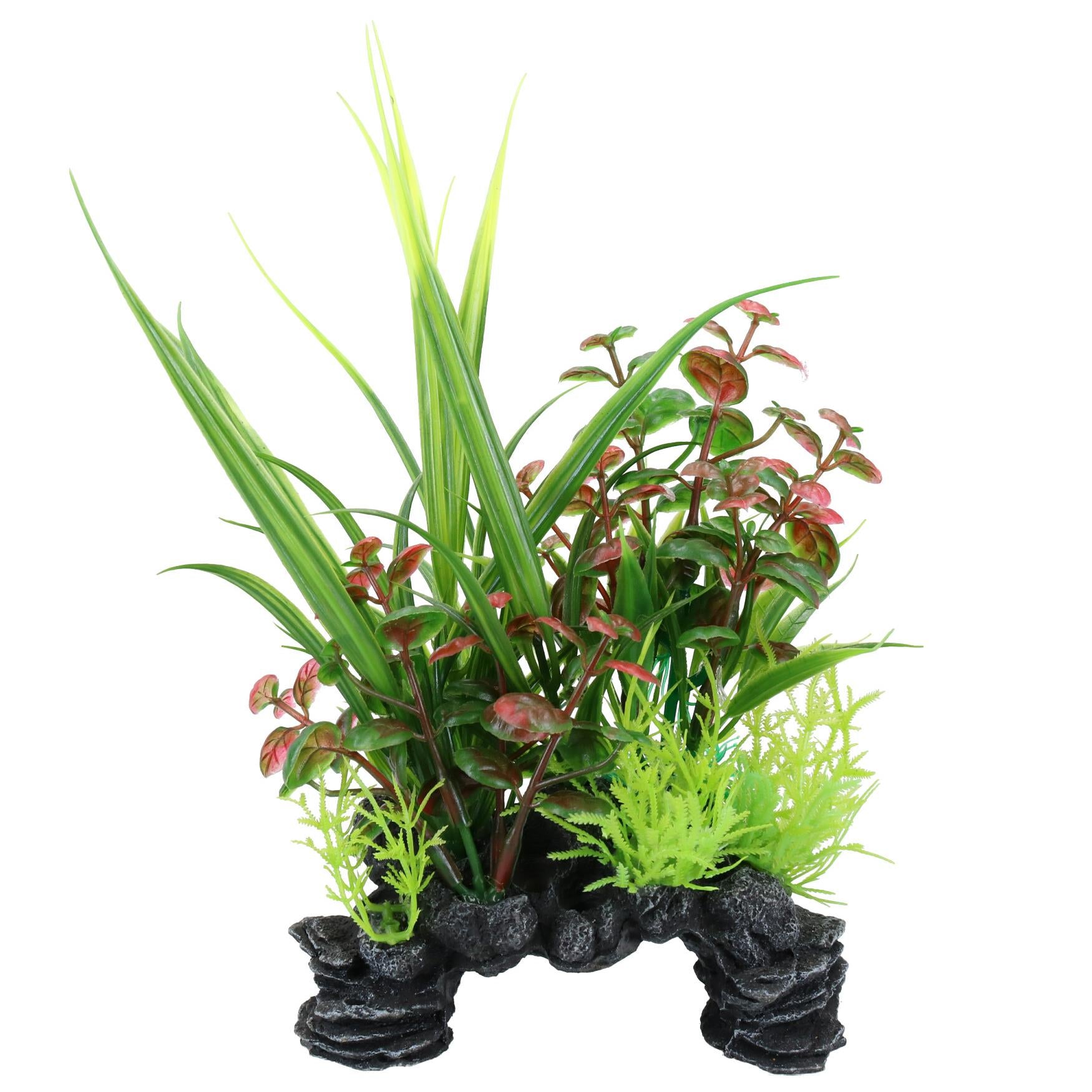 Plante décorative pour aquarium d'aspect naturel sur rocher Rotala 6x12x20cm