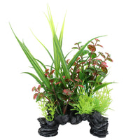 Plante décorative pour aquarium d'aspect naturel sur rocher Rotala 6x12x20cm