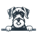 Black Metal Peeking Schnauzer Silhouette with Fixing Plate Garden Ornament Gift