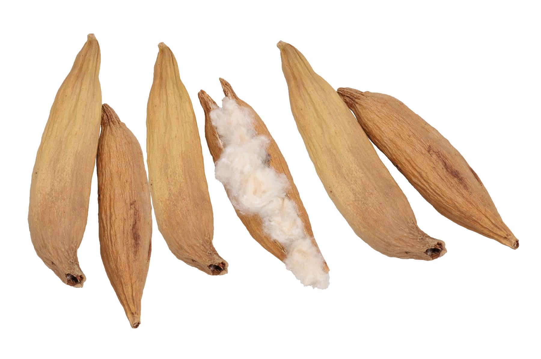 3Pk Small Animals Hamsters, Mice, Gerbils Naturals Play n Bedding Pods