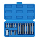 15pc Deep & Shallow Torx Star T20 - T55 Bit Set 1/2" Dr Male 30mm & 75mm