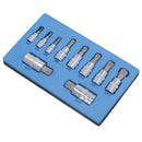 Dreifachvierkant-Spline- und manipulationssichere Stecknüsse 1/4 Zoll, 3/8 Zoll und 1/2 Zoll Dr. 10 Stück AT303