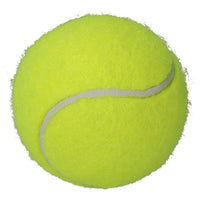 18pk Interactive Hyper Fetch Mini Tennis Ball Dog Play Time 4cm