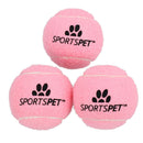 Lot de 3 balles de tennis roses de taille moyenne pour chiot, Chuck Fetch Play Time - 6,5 cm